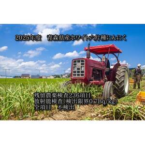 青森県産ホワイト六片種にんにく 1kg 中・小玉 (贈答用)【1656878】