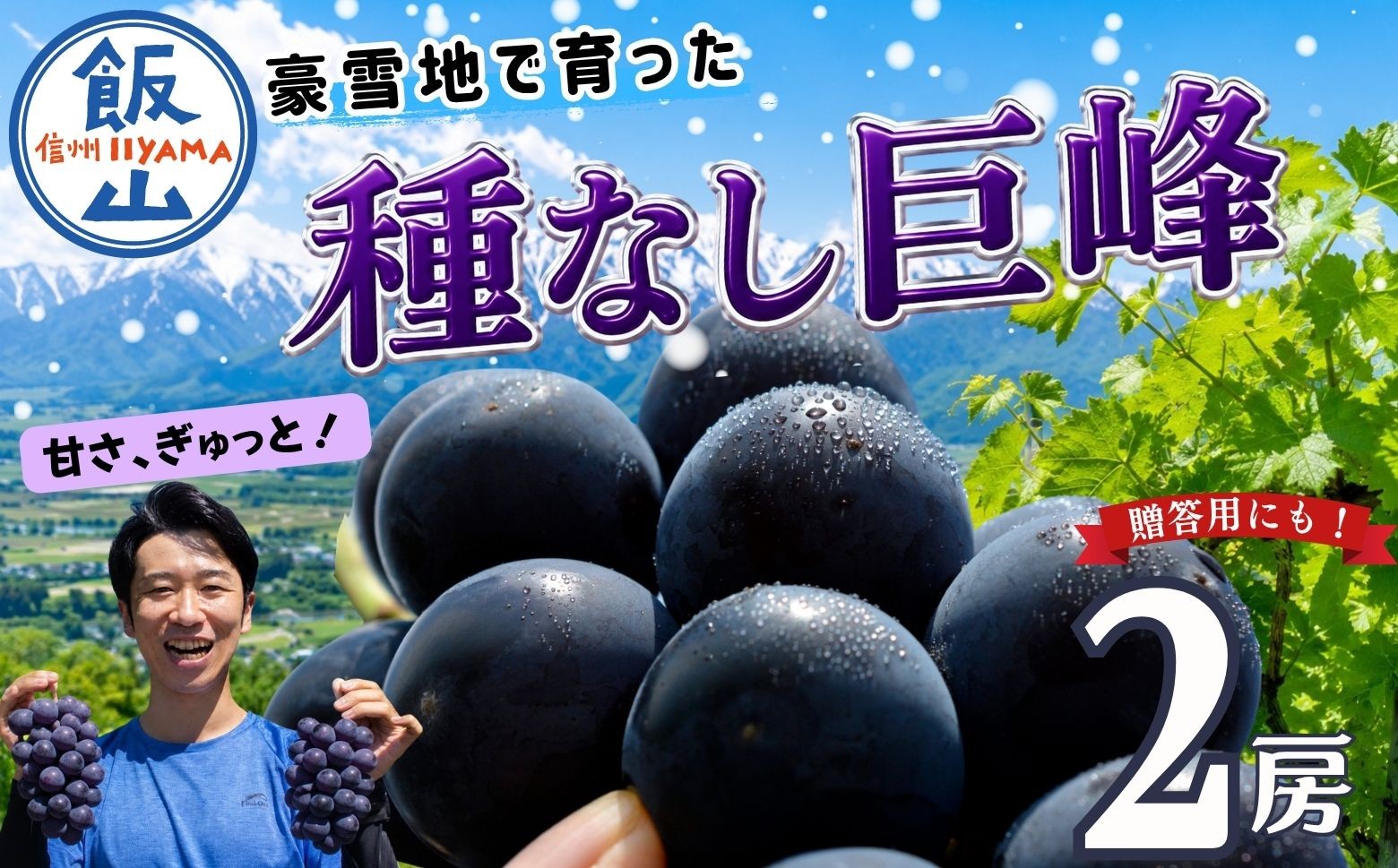 
                  贈答用にも！ 種なし巨峰 2房（約1kg以上）《2026年発送》｜長野県 飯山市 信州 ぶどう 葡萄 ブドウ きょほう 種なしト プレゼント ギフト（Bv-003）
                