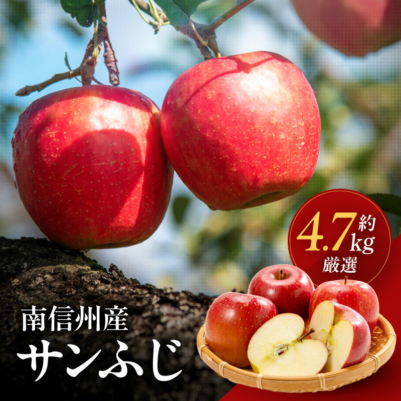 【ふるさと納税】南信州産サンふじ約4.7kg | 果物 くだもの フルーツ サンふじ りんご 林檎 リンゴ 長野県 信州 南信州 飯田市 H15