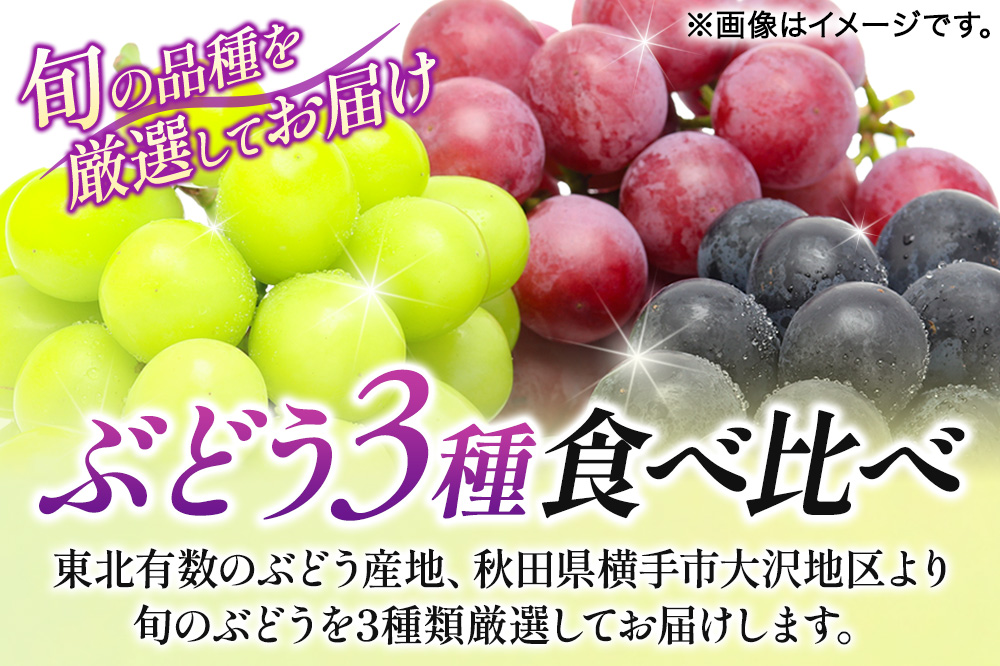 【先行受付】9月中旬より発送 【ぶどう3種食べ比べ】濃甘な完熟葡萄 横手市大沢地区産 旬な種無し大粒品種ぶどう 3種類詰合せ  巨峰 ピオーネ シナノスマイル クィーンニーナ タマユタカ 翠峰 ぶどう