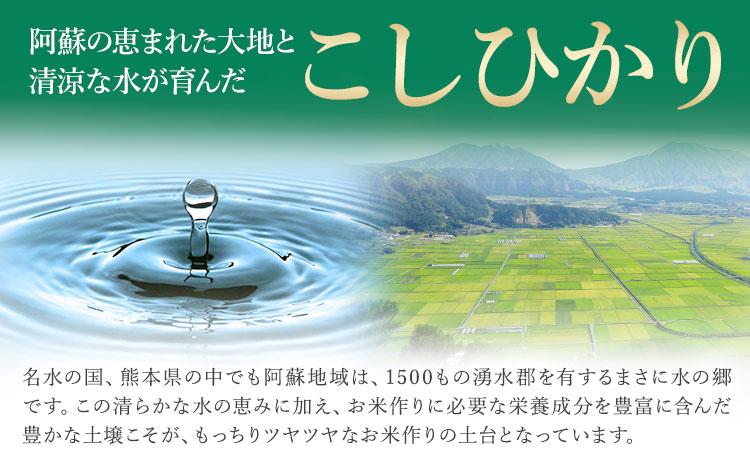 令和6年産 こしひかり 無洗米  15kg 精米 熊本県産(南阿蘇村産含む) 単一原料米 南阿蘇村《7-14営業日以内に出荷予定》---mna_kh6_wx_24_30000_15kg_m---