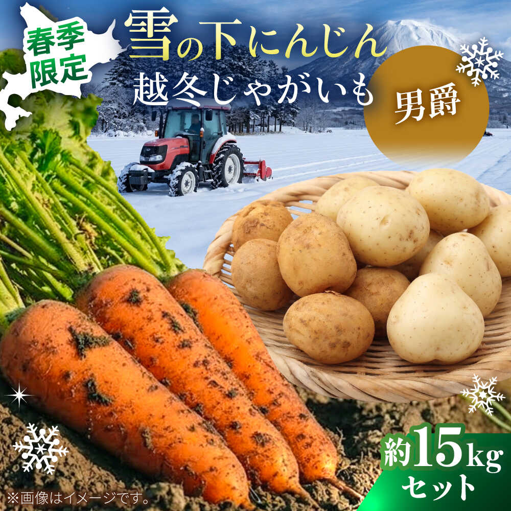 【ふるさと納税】【2027年3月下旬以降順次発送】 雪の下にんじんと越冬じゃがいもセット 計15kg（男爵）| 野菜セット 野菜 セット にんじん じゃがいも 先行予約 | 道の駅 真狩フラワーセンター[BPAM036]