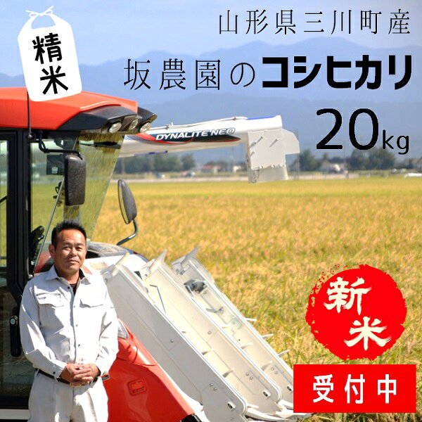 【ふるさと納税】令和8年産【精米】坂農園の厳選米！コシヒカリ20kg　※10月中旬頃より発送開始