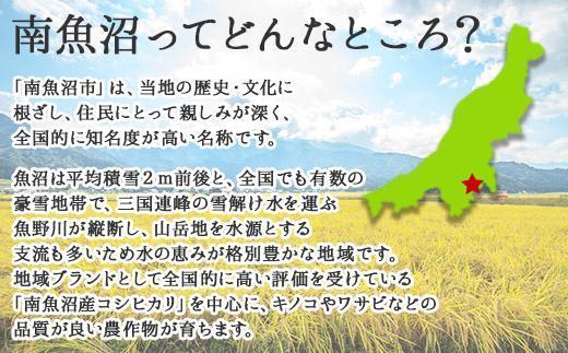 新潟県 南魚沼産 厳選 国産 黒 高級 舞茸 産地直送 700g
