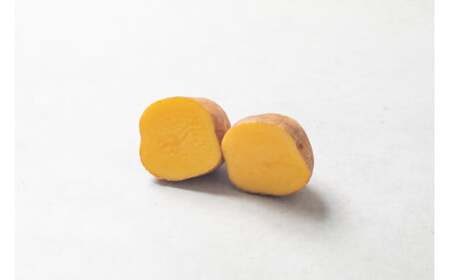 ［先行受付］おとふけ産じゃがいも「インカのめざめ」5kg （Mサイズ）【B127】2025年11月下旬頃より順次発送予定 