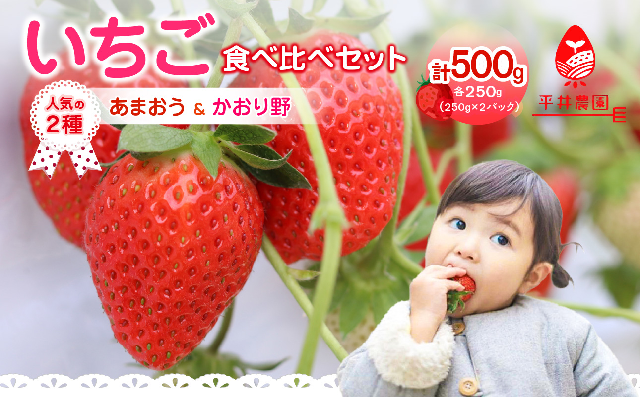 人気の2種いちご食べ比べセット「あまおう 250g」＋「かおり野 250g」合計500g｜2024年12月～順次発送＜ひらい観光農園＞