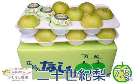 ●先行予約●安芸高田市【かしもと農園】二十世紀梨 7.5kg 果物 フルーツ 梨園 技術 経験 品質 美味しい きれいな空気 緑 みずみずしく さっぱり 甘み 酸味 