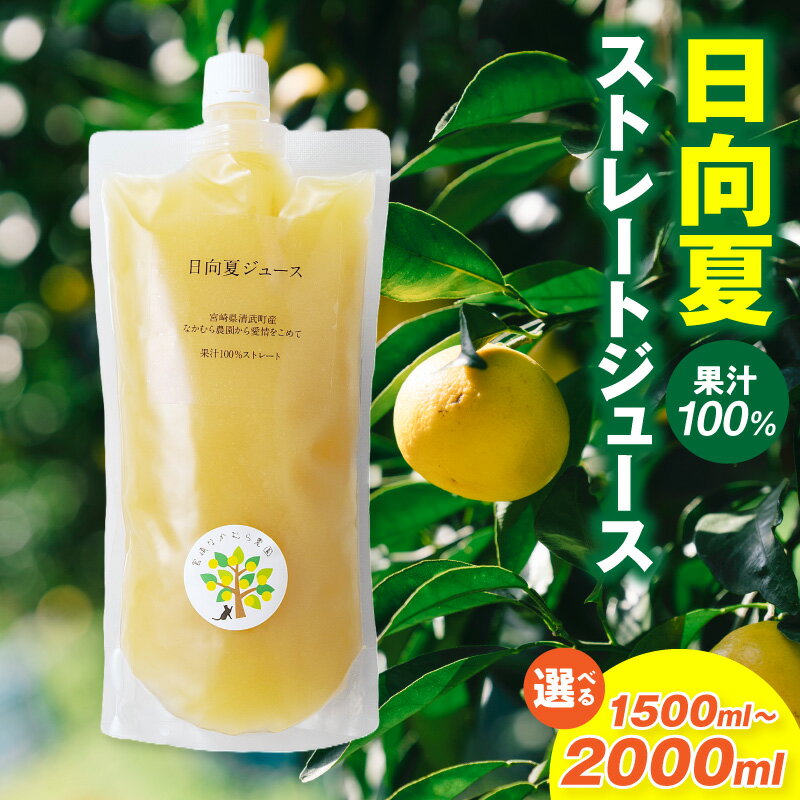 【ふるさと納税】【内容量が選べる】日向夏ストレートジュース100％ 500ml 1000ml 1.5ml 2l ジュース 果物 フルーツ フルーツジュース 日向夏 日向夏ジュース 飲み物 飲料 100％ 100％ジュース 果物100％ お湯割り 料理 カクテル おすすめ 宮崎県 宮崎市 送料無料
