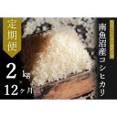 【ふるさと納税】【毎月11～20日発送】 米 定期便 コシヒカリ 南魚沼産 24kg ( 2kg × 12ヶ月 ) うちやま農園米 | 送料無料 魚沼産 コシヒカリ 魚沼 新潟 新潟県産 米 お米 産直 産地直送 お取り寄せ 人気 御中元 御歳暮 農家直送