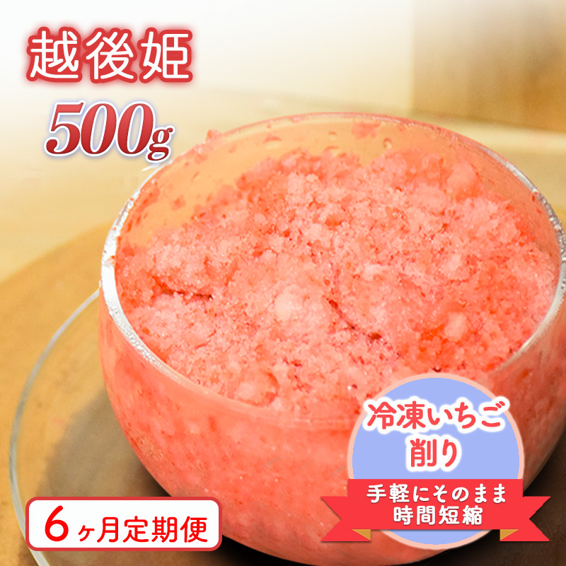 削りいちこ゛越後姫500g　6ヶ月定期便 冷凍 イチゴ 苺 果物 