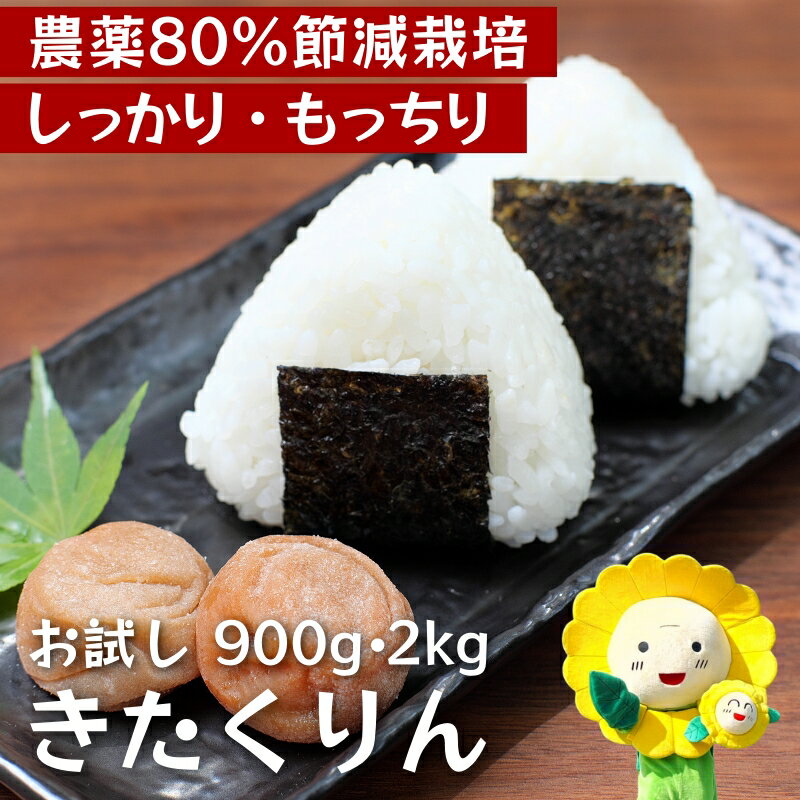 【ふるさと納税】 きたくりん 令和7年産 新米 お試し 6合(900g) ・ 2kg / お米 白米 ごはん こめ 北海道米 ※10月下旬～順次発送 //rice