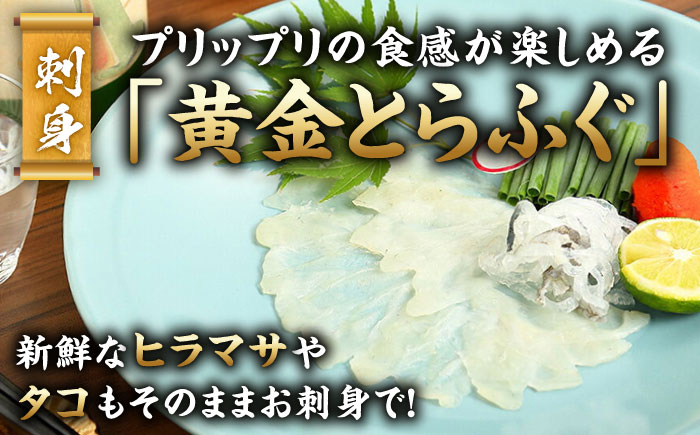 平戸魚介極海盛り〜「刺身」「焼き」「締め」「漬け」「蒸し」〜豪華10点セット【平戸DMC「地域商社」】 [KAC167]/  