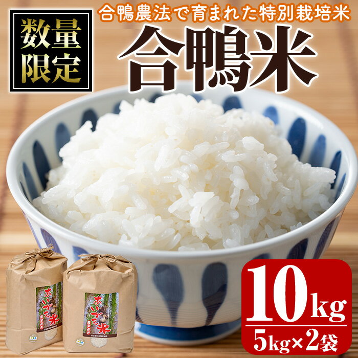 【ふるさと納税】＜ 新米 ・ 令和7年産 ＞＜数量限定＞ 合鴨 米 (5kg×2袋) 白米 精米 国産 ご飯 アイガモ 合鴨農法 10kg お米 ごはん【MU027】【日之影町村おこし総合産業(株)】