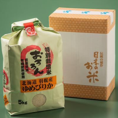 ふるさと納税 羽幌町 【定期便:6回】 特別栽培米 ゆめぴりか5kg |  | 01