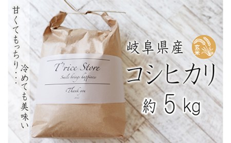 【令和6年産】 新米 T rice Store 岐阜県産 コシヒカリ（玄米） 約5kg