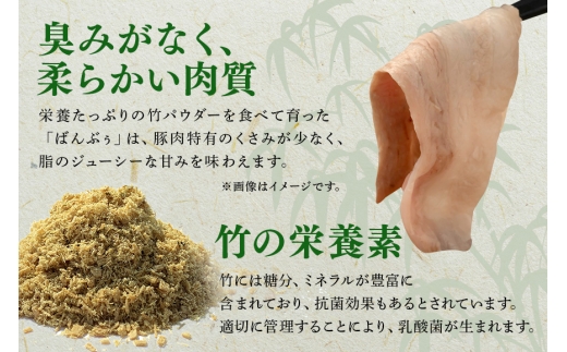 【定期便6ヶ月】ブランド豚「ばんぶぅ」ヒレブロック1本（400g以上） 定期便 ばんぶぅ 豚肉 ヒレ ヒレ肉 ヒレブロック ブロック肉 ひれ肉 豚ヒレ ひれ しゃぶしゃぶ 焼き肉 真空パック 焼肉用 