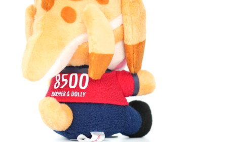 いわきFC　ハーマー＆ドリーぬいぐるみキーホルダー | いわきFC 公式グッズ サッカークラブ 応援グッズ 福島県 いわき市 浜通り チームグッズ ファンサポーター プレゼント ギフト 限定 記念 グ