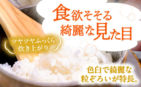 にこまる 白米 10kg / 戸倉トラクター[AECS056-09] 国産米 国産