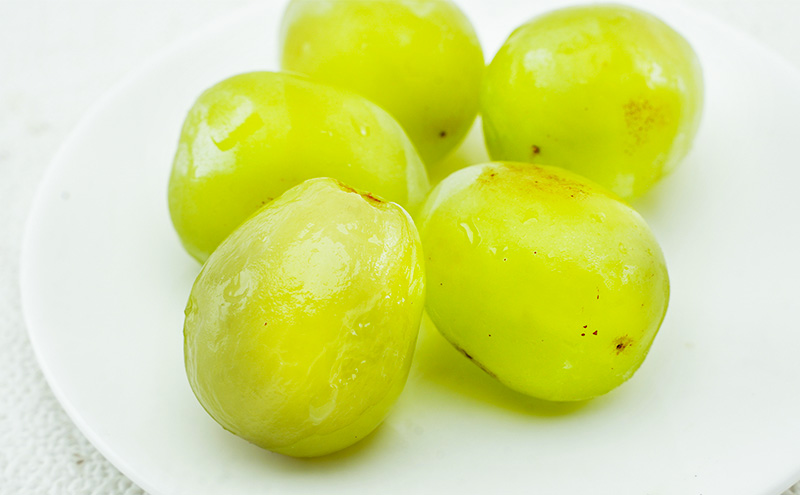 ぶどう 2024年 先行予約 マスカット・オブ・アレキサンドリア 1房 700g以上 化粧箱入り マスカット 岡山県産 国産 フルーツ 果物 ギフト