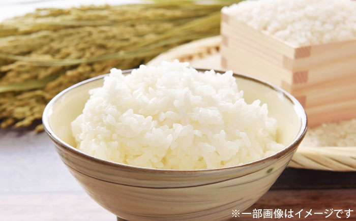 さがびより 無洗米 4kg (2kg×2袋) / 無洗米 佐賀県産 国産 / 佐賀県 / 株式会社SUMRICE [41AAAV005]