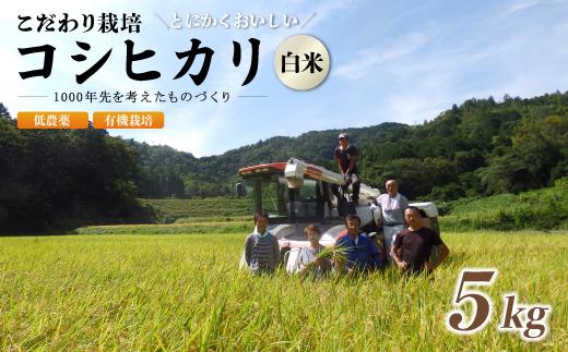 【R7年度 新米 12月発送】 京都府産 低農薬 有機栽培コシヒカリ5kg 【 米 5キロ 精米 白米 こめ コメ お米 おこめ こしひかり 井上吉夫 米農家 有機栽培米 有機栽培 農家直送 減農薬 綾部市 京都府 】