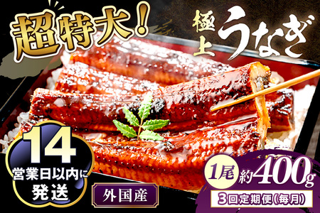 【定期便 毎月×3回】超特大！ふっくら肉厚！うなぎ蒲焼 1尾 400g前後