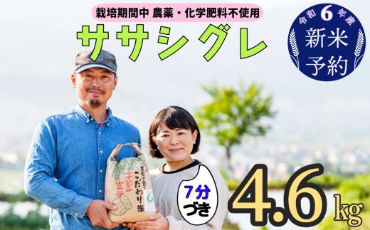 令和６年産　新米予約 【栽培期間中 農薬・化学肥料不使用】ササシグレ(７分づき)4.6kg真空包装(6-50)