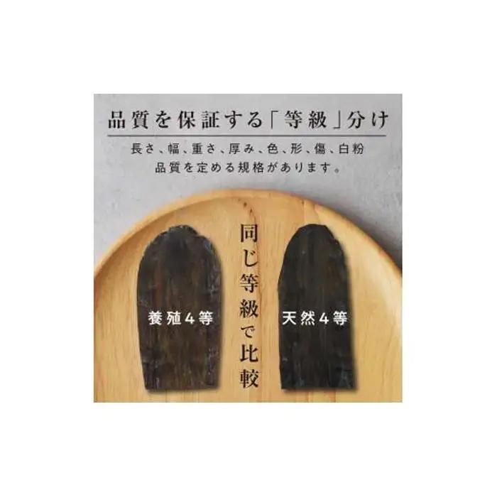 羅臼昆布「おつまみ昆布」5個セット(50g×５個) 熱中症対策 小分け 北海道 知床