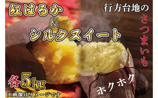 【2025年1月より順次発送】【訳あり】無選別　行方台地のさつまいも　紅はるか約5kg＋シルクスイート約5kg(CU-87-5)