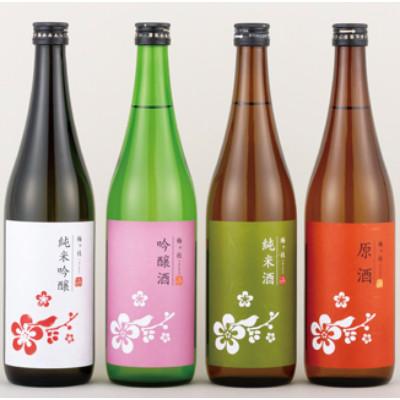 ふるさと納税 佐世保市 【毎月定期便】純米吟醸・吟醸・純米・原酒　バラエティー日本酒4本セット【梅ヶ枝酒造】全3回