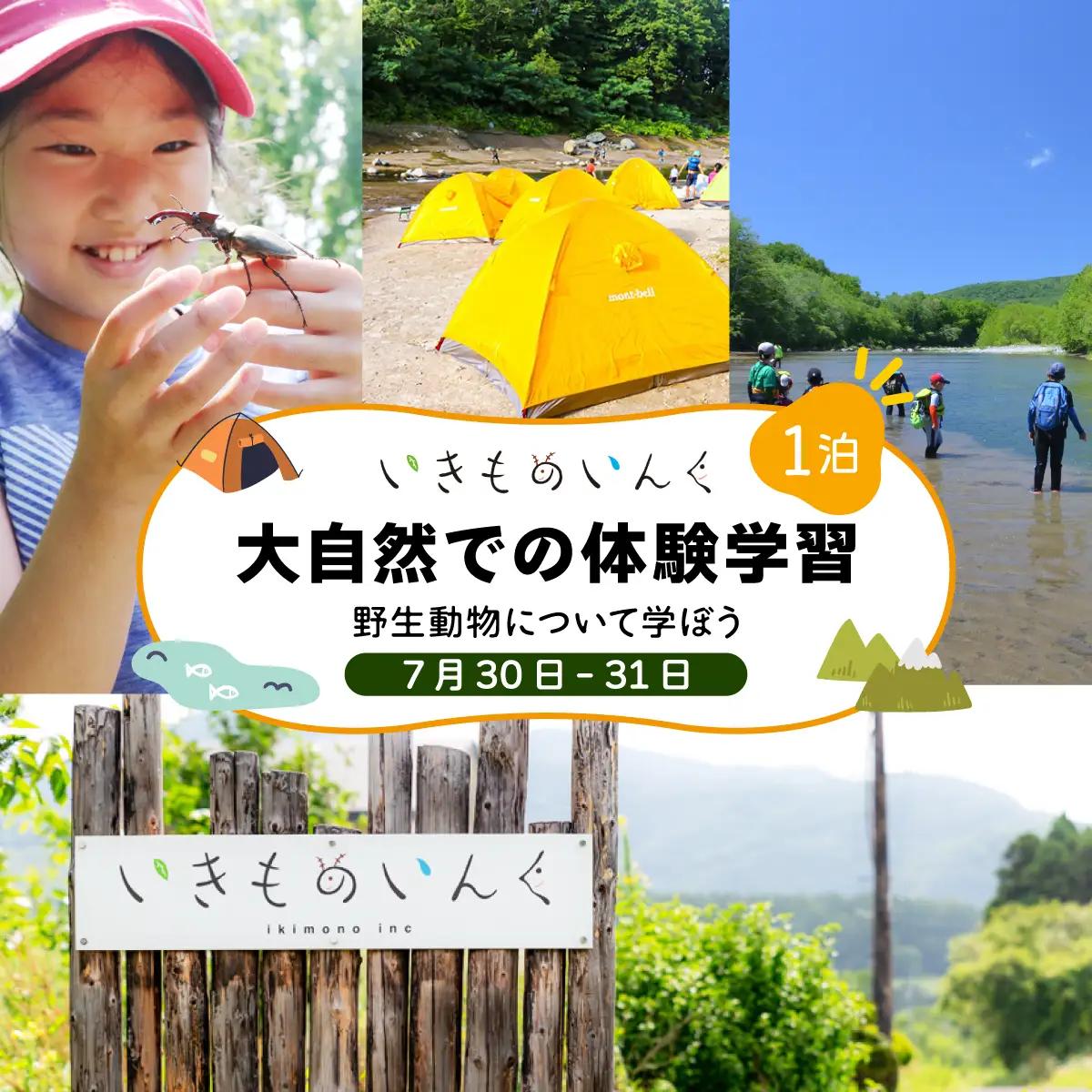 ＜2026年 7月30日(1泊)＞ 大自然での子ども体験学習キャンプ 野生動物について学ぼう！【imi-001】