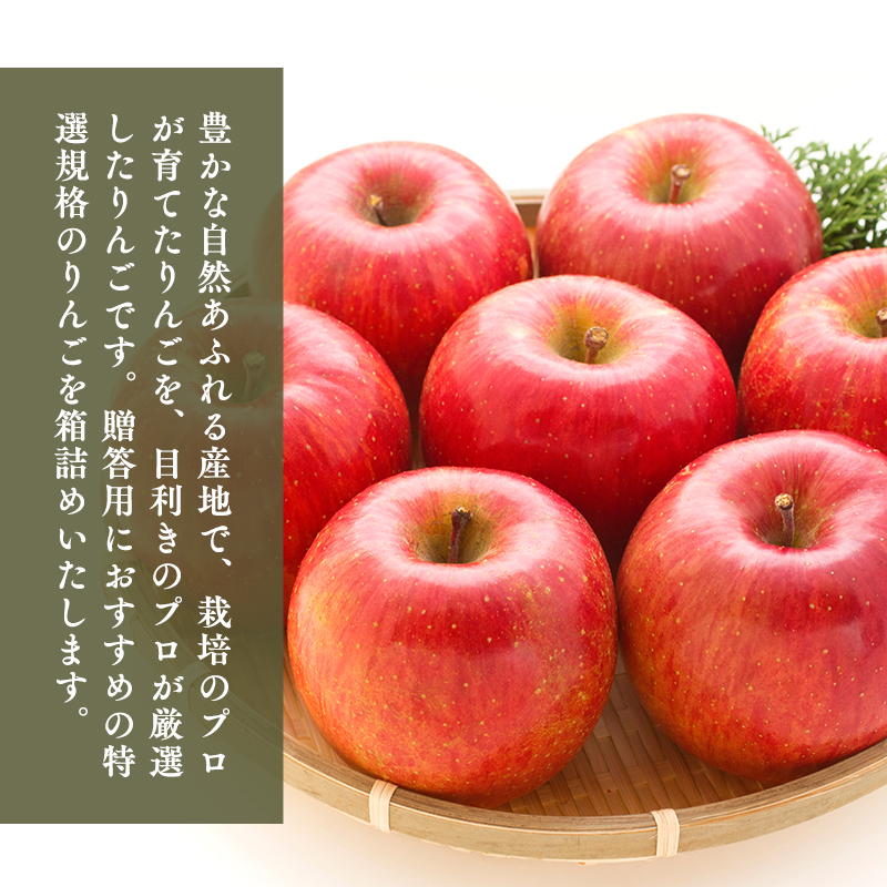 【11月発送開始】隔月配送　定期便3回　特選　甚八りんご　３kg　【青森県 平川市 マルジンサンアップル】