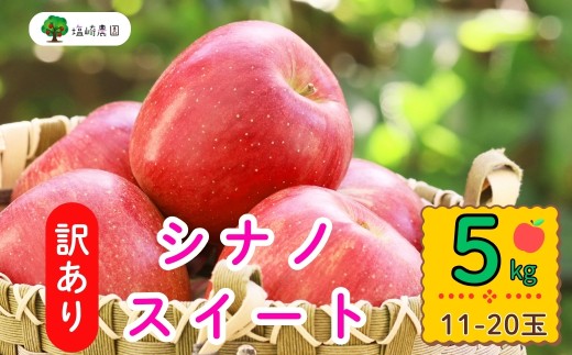 【先行予約】【訳あり】シナノスイート【約5kg(11〜20玉)】規格外(7-A27-2)