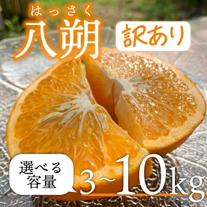 【ふるさと納税】 【先行予約】【3月上旬~順次発送】八朔 はっさく 完熟 無農薬 訳あり 3~10kg 栽培期間中農薬・化学肥料不使用 デザート 果物 くだもの 国産 数量限定 フルーツ ハッサク 農家直送 愛知県 南知多町【配送不可地域：北海道 青森 秋田 岩手 沖縄 離島】