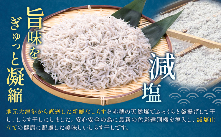 しらす干し 大津港水揚げ しらす 2kg (茨城県共通返礼品：北茨城市) 川崎水産有限会社 《30日以内に出荷予定(土日祝除く)》しらす干 減塩 茨城県 河内町 【配送不可地域あり】（沖縄・離島）