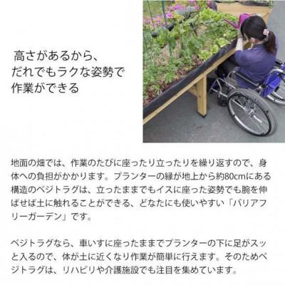 ふるさと納税 海南市 ホームベジトラグ ウォールハガー L グレイウォッシュ　57929700 |  | 03