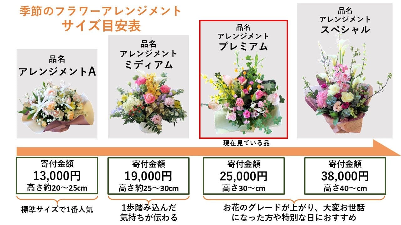 サイズ目安表