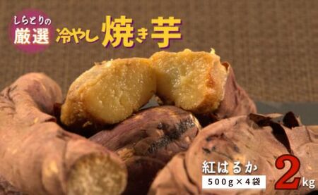 冷やし焼き芋 冷凍 やきいも 2kg 2キロ 500g×4袋 紅はるか しっとり甘い プレゼント 贈答用 おやつ 芋スイーツ