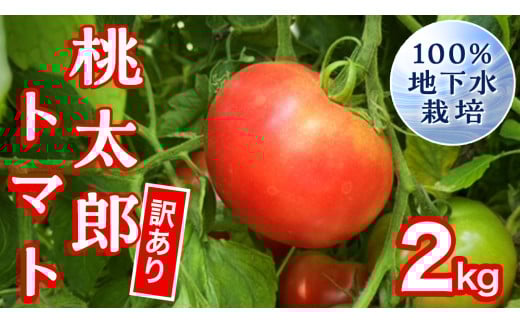【 訳あり 】 地下水100％で作る美味しい 「 桃太郎トマト 」 2kg 野菜 桃太郎 トマト とまと 地下水 ミネラル [DU009ci]