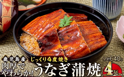 うなぎ 蒲焼 160g×4尾【鹿児島産】地下水で育てた絶品鰻