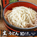 【ふるさと納税】【訳あり】簡易包装　生うどん 5人前×2袋 めんつゆ付き 10食セット【丸中製麺所】ラーメン 高山ラーメン 自家製麺 飛騨 下呂市 うどん 生うどん 4000円