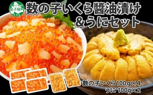 
										
										2564. 数の子・いくら醤油漬け 4パック いくら イクラ 魚卵 うに ウニ チリ産 冷凍 雲丹 いくら 海鮮 海鮮丼 送料無料 北海道 弟子屈町
									