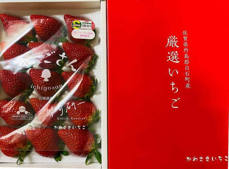 
                  川﨑研一の厳選いちご「いちごさん」400g【化粧箱入り】
                