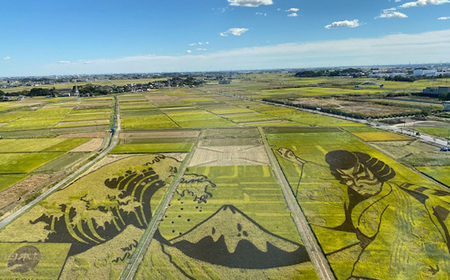 古代蓮会館・夜間特別鑑賞券～展望室から夕日と夜景を貸切で！～ No.338