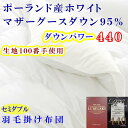 【ふるさと納税】 羽毛布団 セミダブル 羽毛掛け布団 100番手 【ポーランド産マザーグース95%】 羽毛ふとん 【ダウンパワー440】 寝具 冬用 羽毛布団 ふるさと納税 布団 掛け布団 セミダブル SD ポーランド産 マザーグース 山梨県 富士河口湖町 送料無料 FAG179