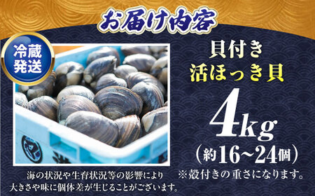 7月中旬以降順次発送！厚真町近海の活ほっき貝 4kg（約16-24個）【鵡川漁業協同組合】 ほっき ほっき ほっき ほっき ほっき ほっき  [AXAL006]