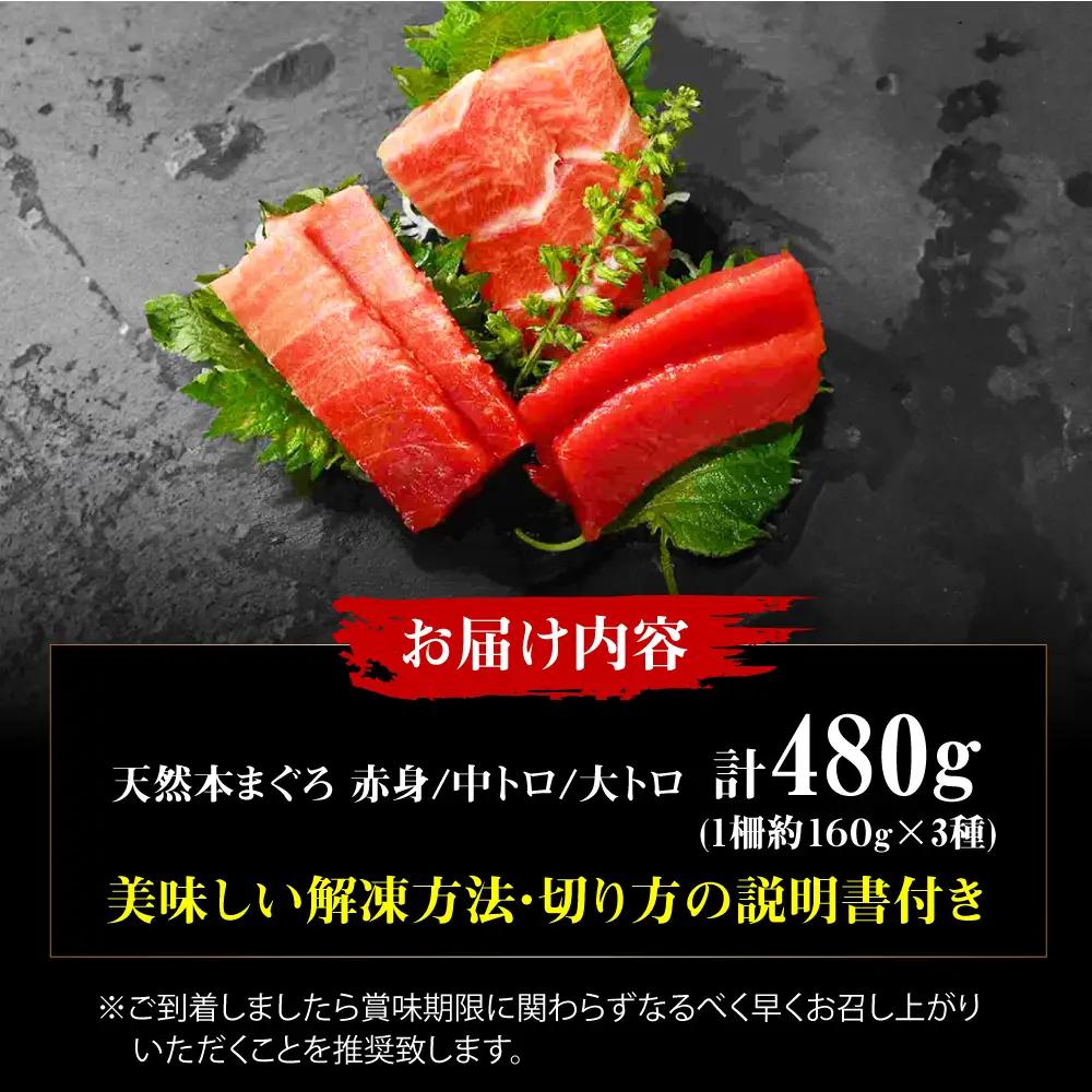 たね熟天然本まぐろ赤身＆中トロ＆大トロセット(各160g 計480g)[AOCE012]まぐろ
