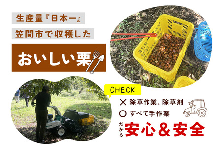 生栗 栗 1kg 1kg×1袋  特大 3L 以上 数量限定 国産 和栗 くり スイーツ 果物 フルーツ 栗きんとん モンブラン 栗ご飯 秋 旬 カサマロン 生産量 日本一 笠間 かさま ギフト プレ