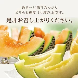 SA2542　庄内メロン　グレース、レノンウェーブ　約3kg　計2玉(青肉・赤肉各1玉)