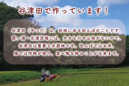 K-8-1 生クリーム大福＆草もちセット　各10個